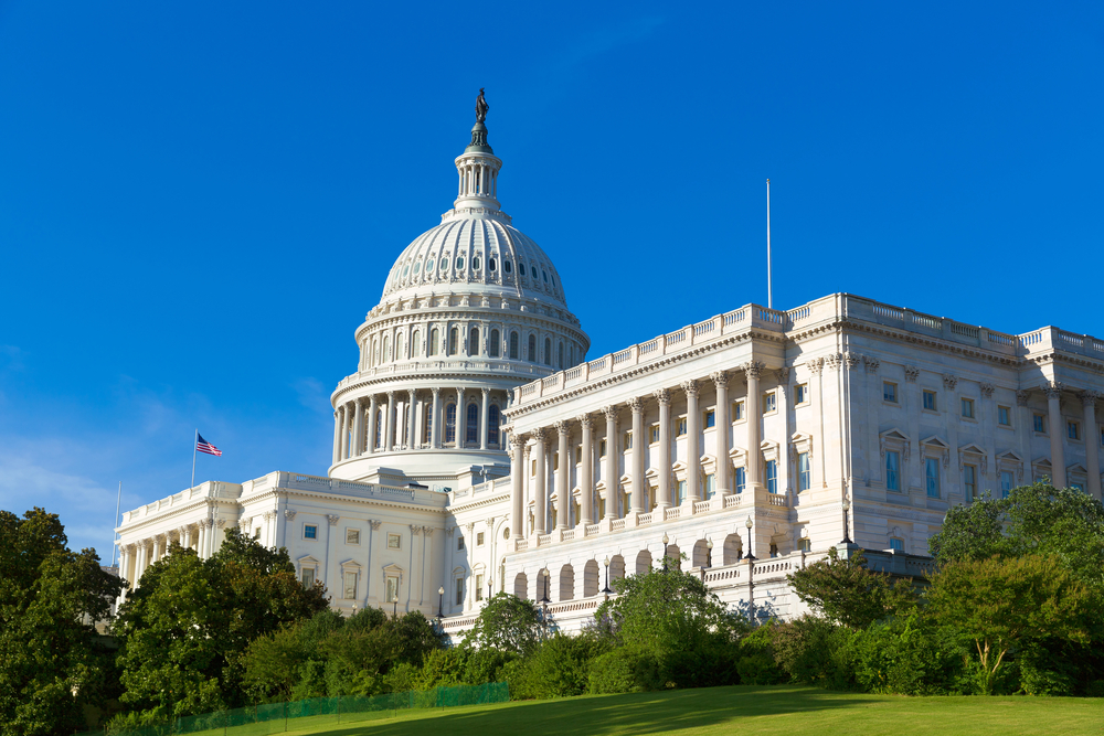 Some Congressional Members Call for Potential Fee Change for Radiologists