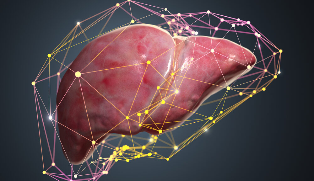 Artificial Intelligence Explored to Aid Early Detection of Malignant Liver Tumors
